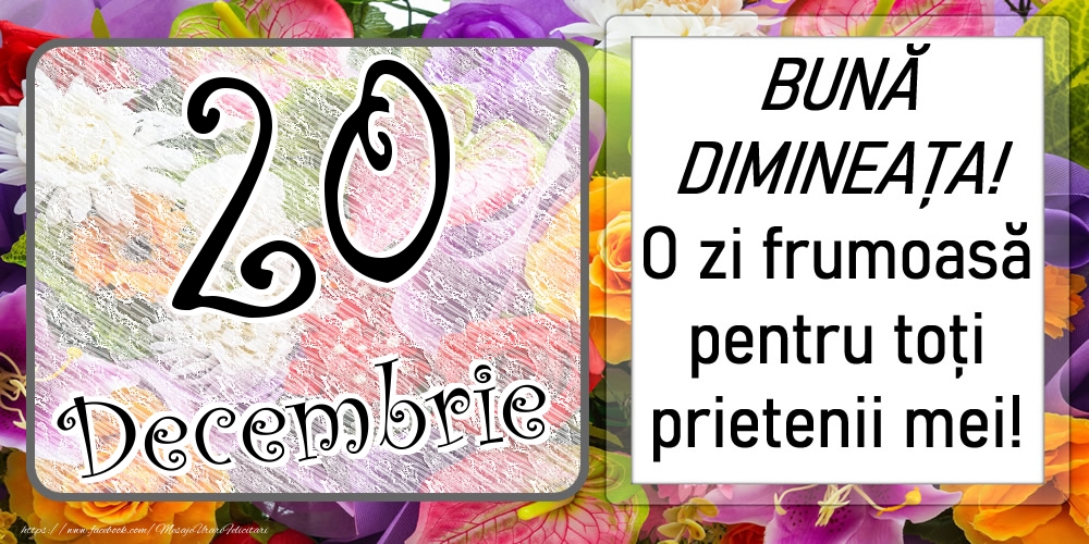 Felicitari de 20 Decembrie - 20 Decembrie - BUNĂ DIMINEAȚA! O zi frumoasă pentru toți prietenii mei!