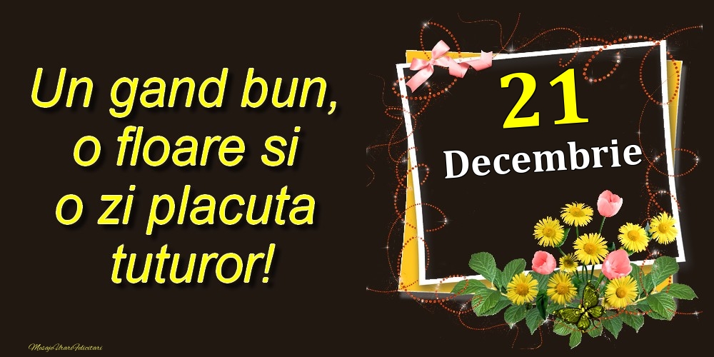 Felicitari de 21 Decembrie - Decembrie 21 Un gand bun, o floare si o zi placuta tuturor!