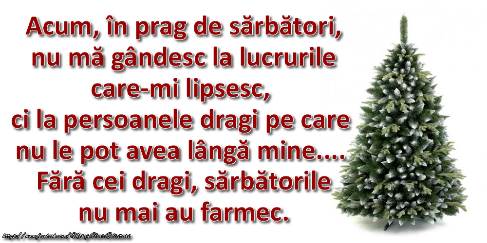 Felicitari de 22 Decembrie - Acum, în prag de sărbători, nu mă gândesc la lucrurile care-mi lipsesc, ci la persoanele dragi pe care nu le pot avea lângă mine.... Fără cei dragi, sărbătorile nu mai au farmec.