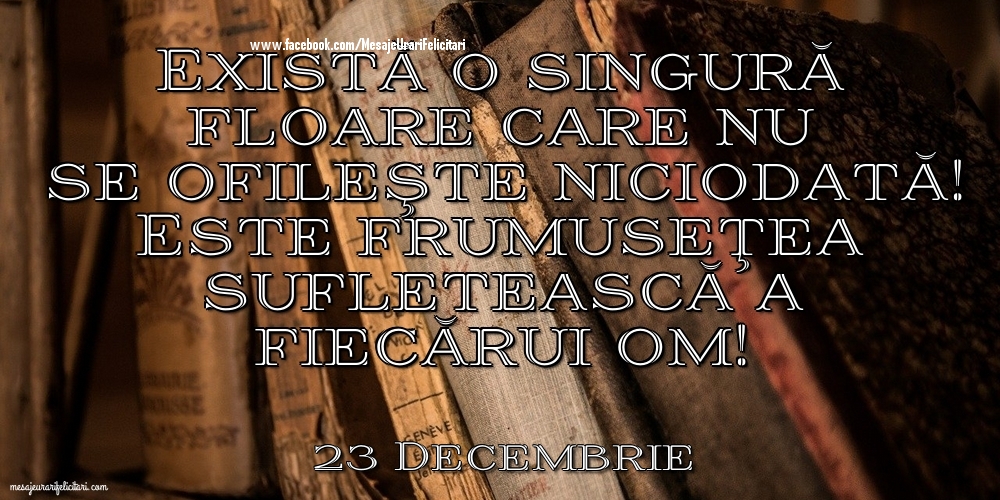 Felicitari de 23 Decembrie - 23 Decembrie - Există o singură floare care nu se ofileşte niciodată! Este frumuseţea sufletească a fiecărui om!