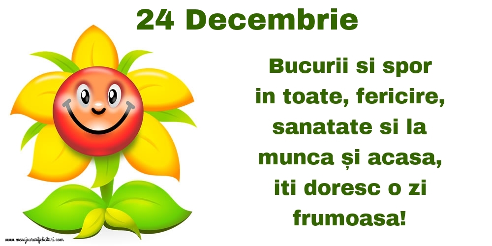 24.Decembrie Bucurii si spor in toate, fericire, sanatate si la munca și acasa, iti doresc o zi frumoasa!