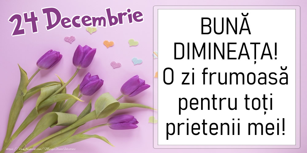 24 Decembrie - BUNĂ DIMINEAȚA! O zi frumoasă pentru toți prietenii mei!