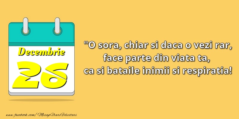 O soră, chiar şi dacă o vezi rar, face parte din viata ta, ca şi bătăile inimii şi respiraţia! 26Decembrie