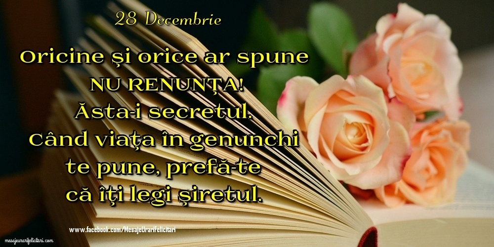 28 Decembrie - Oricine şi orice ar spune NU RENUNŢA! Ăsta-i secretul. Când viaţa în genunchi te pune, prefă-te că îţi legi şiretul.