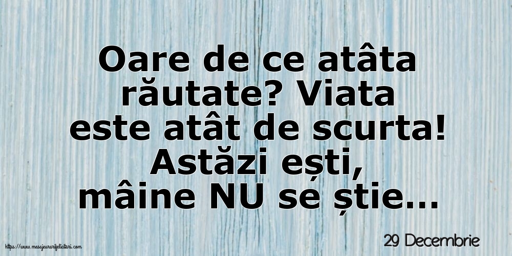 29 Decembrie - Oare de ce atâta răutate?