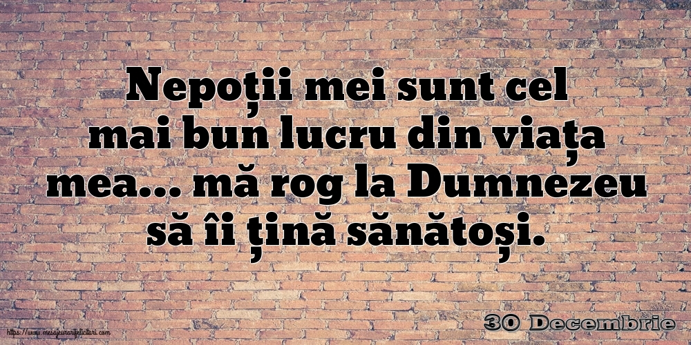 Felicitari de 30 Decembrie - 30 Decembrie - Nepoții mei sunt cel mai bun lucru din viața mea…