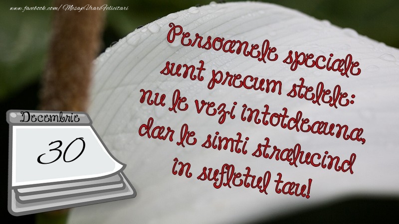 Persoanele speciale sunt precum stelele: nu le vezi întotdeauna, dar le simti strălucind în sufletul tău! 30 Decembrie