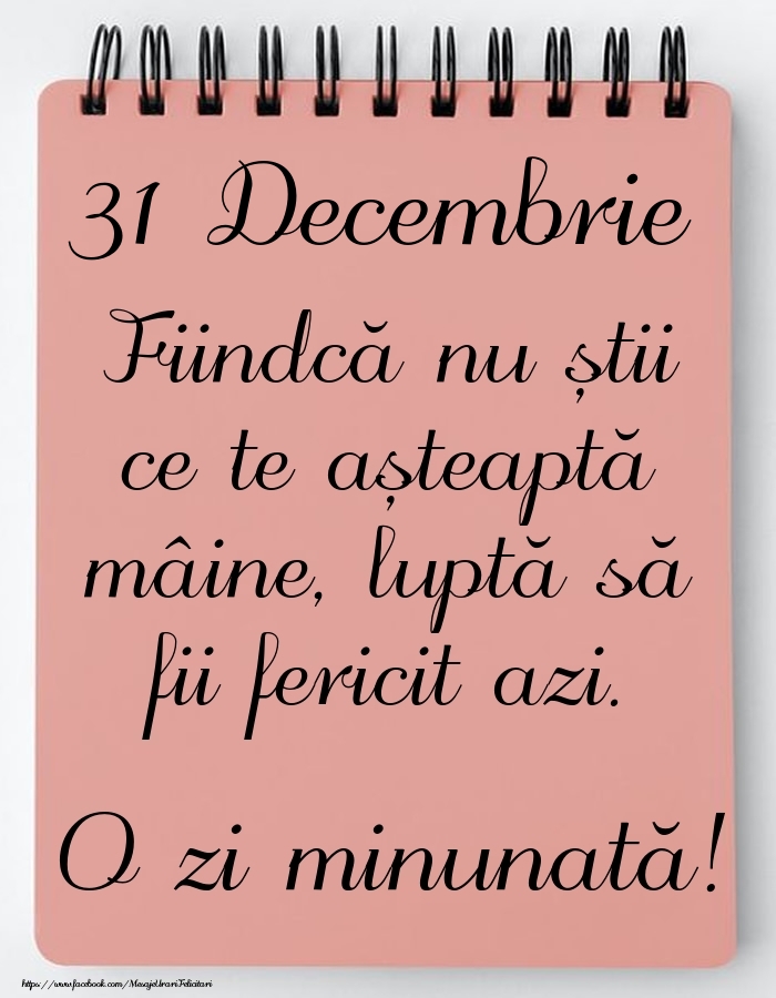 Mesajul zilei -  31 Decembrie - O zi minunată!