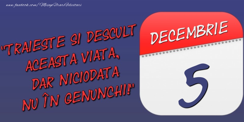 Felicitari de 5 Decembrie - Trăieşte şi desculţ această viaţă, dar niciodată nu în genunchi! 5 Decembrie