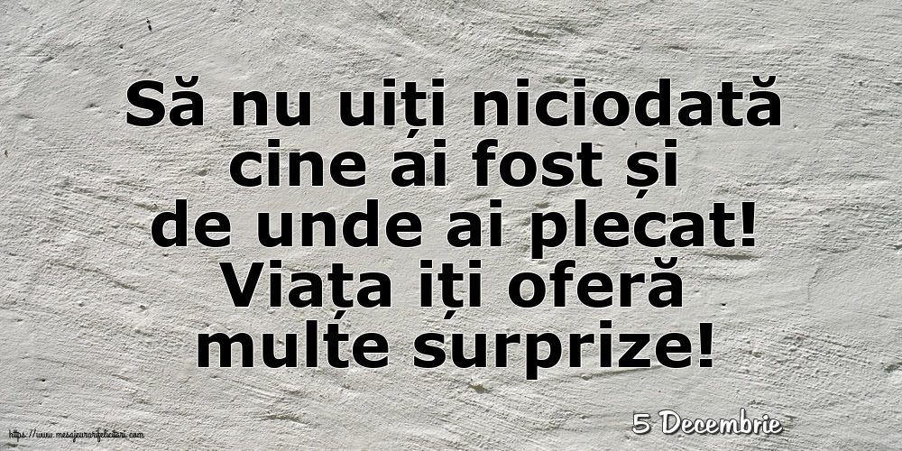 Felicitari de 5 Decembrie - 5 Decembrie - Viața iți oferă multe surprize!