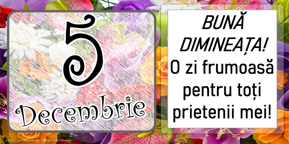 Felicitari de 5 Decembrie - 5 Decembrie - BUNĂ DIMINEAȚA! O zi frumoasă pentru toți prietenii mei!