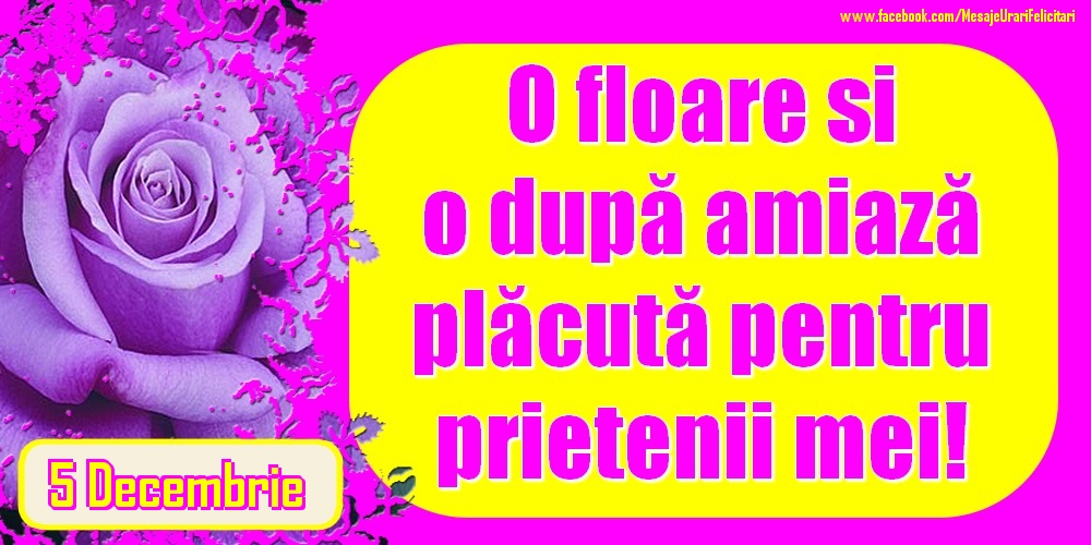 5.Decembrie - O floare și o după amiază plăcută pentru prietenii mei!