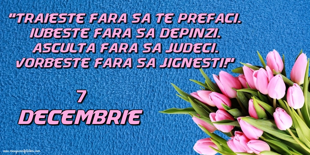 Felicitari de 7 Decembrie - 7.Decembrie Trăieşte fara sa te prefaci. Iubeşte fara sa depinzi. Asculta fara sa judeci. Vorbeste fara sa jignesti!