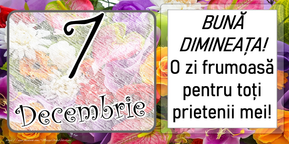 Felicitari de 7 Decembrie - 7 Decembrie - BUNĂ DIMINEAȚA! O zi frumoasă pentru toți prietenii mei!