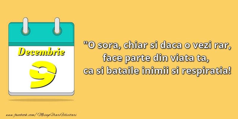 O soră, chiar şi dacă o vezi rar, face parte din viata ta, ca şi bătăile inimii şi respiraţia! 9Decembrie