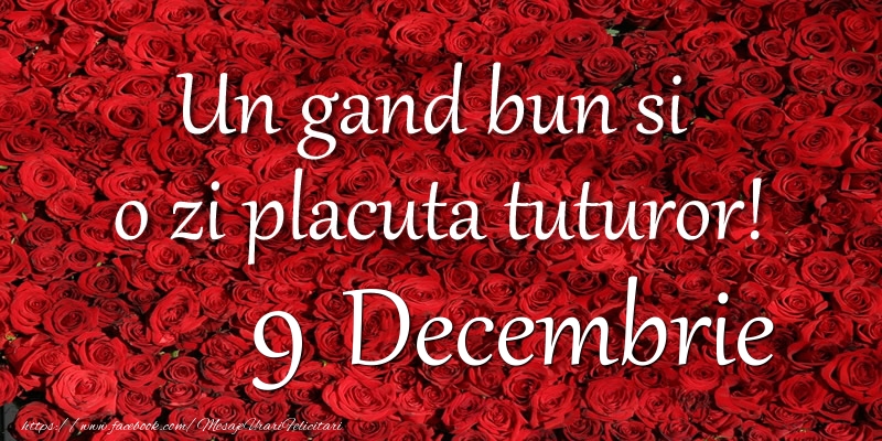 Un gand bun si  o zi placuta tuturor! Decembrie 9