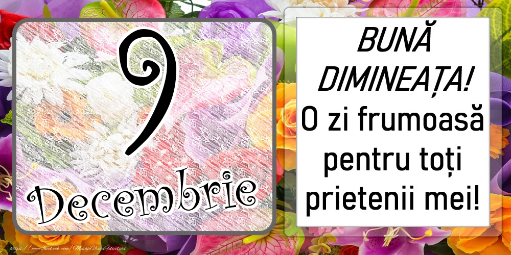 Felicitari de 9 Decembrie - 9 Decembrie - BUNĂ DIMINEAȚA! O zi frumoasă pentru toți prietenii mei!