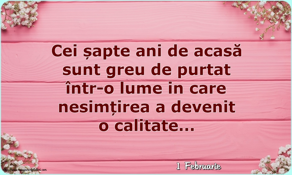 Felicitari de 1 Februarie - 1 Februarie - Cei șapte ani de acasă