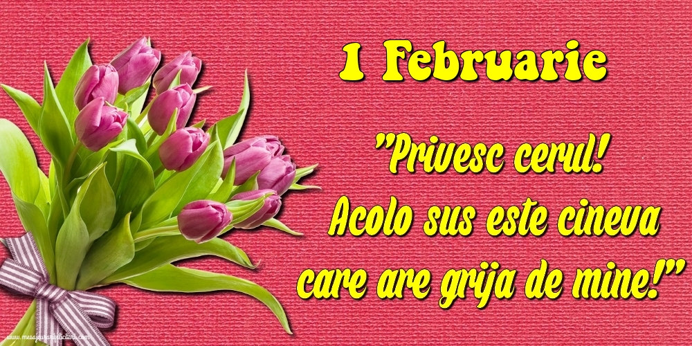 Felicitari de 1 Februarie - 1.Februarie Privesc cerul! Acolo sus este cineva care are grija de mine!