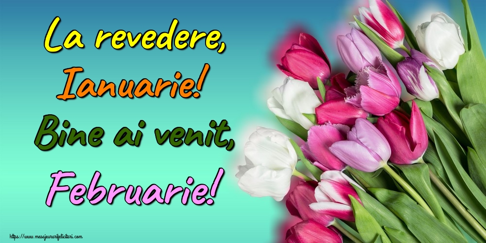 Felicitari de 1 Februarie - La revedere, Ianuarie! Bine ai venit, Februarie!