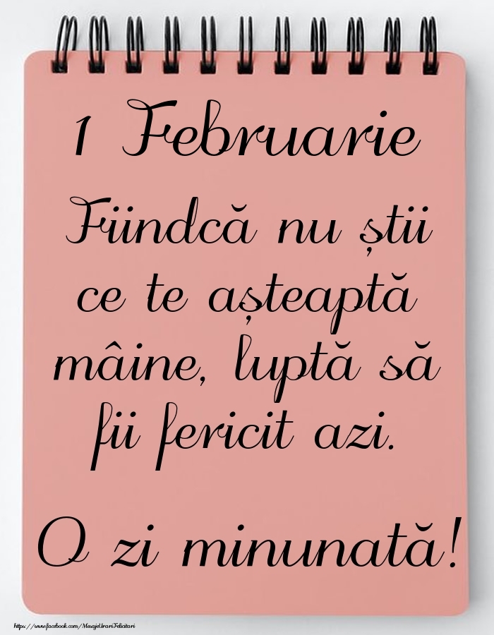 Mesajul zilei -  1 Februarie - O zi minunată!