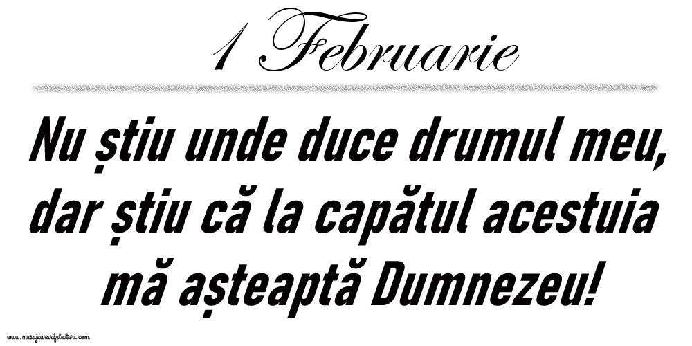 1 Februarie Nu știu unde duce drumul meu...