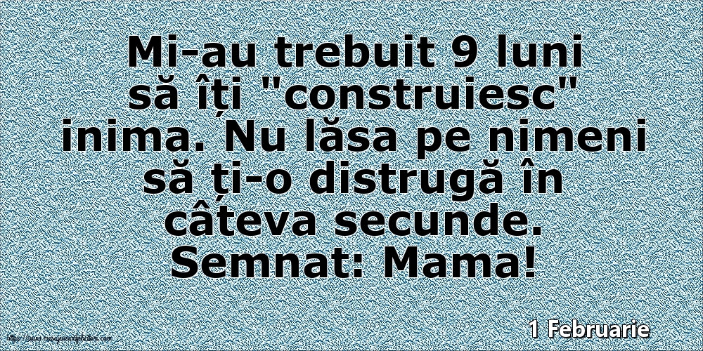 Felicitari de 1 Februarie - 1 Februarie - Semnat: Mama! Mi-au trebuit 9 luni