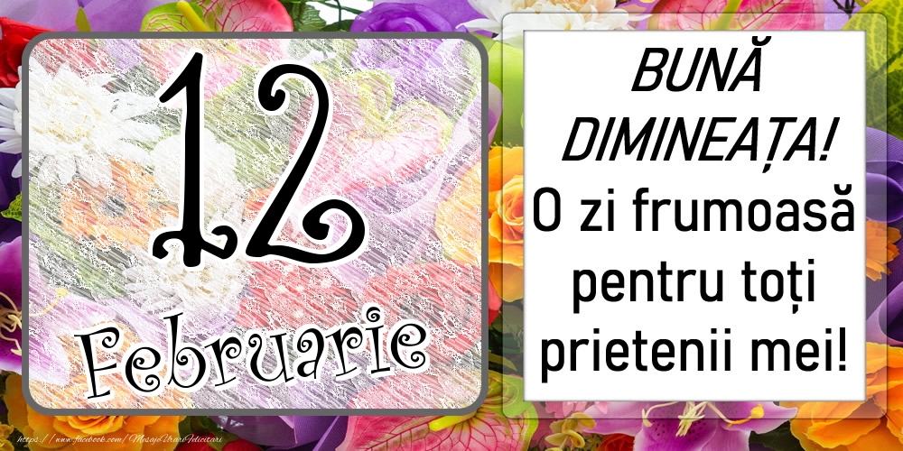 12 Februarie - BUNĂ DIMINEAȚA! O zi frumoasă pentru toți prietenii mei!