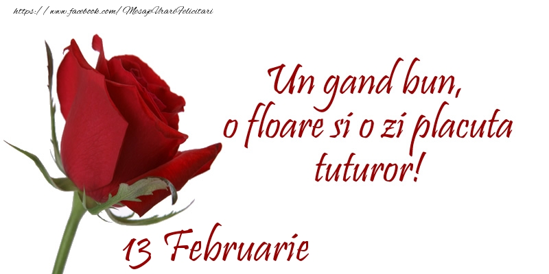 Felicitari de 13 Februarie - Un gand bun, o floare si o zi placuta tuturor!