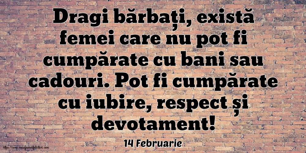Felicitari de 14 Februarie - 14 Februarie - Dragi bărbați