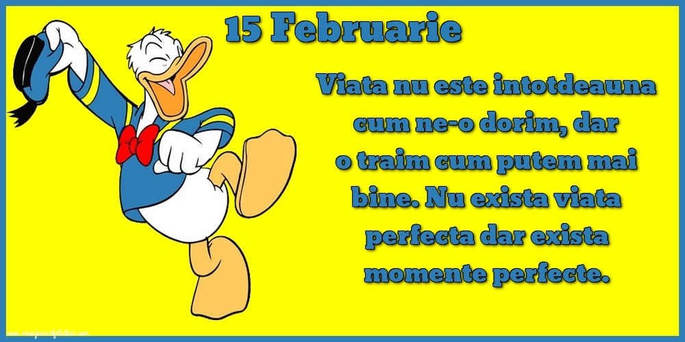 15.Februarie Viata nu este intotdeauna cum ne-o dorim, dar o traim cum putem mai bine. Nu exista viata perfecta dar exista momente perfecte.