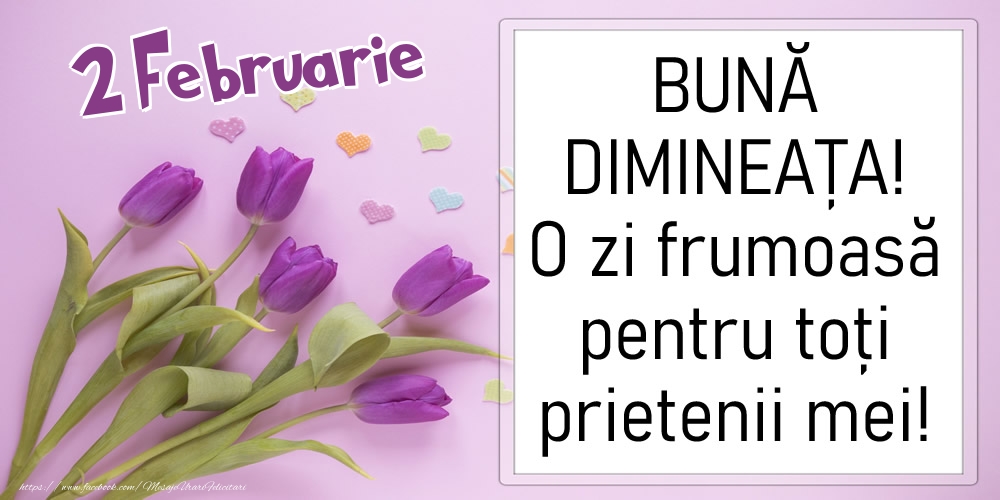 Felicitari de 2 Februarie - 2 Februarie - BUNĂ DIMINEAȚA! O zi frumoasă pentru toți prietenii mei!