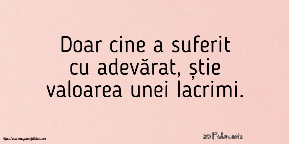 Felicitari de 20 Februarie - 20 Februarie - Doar cine a suferit cu adevărat