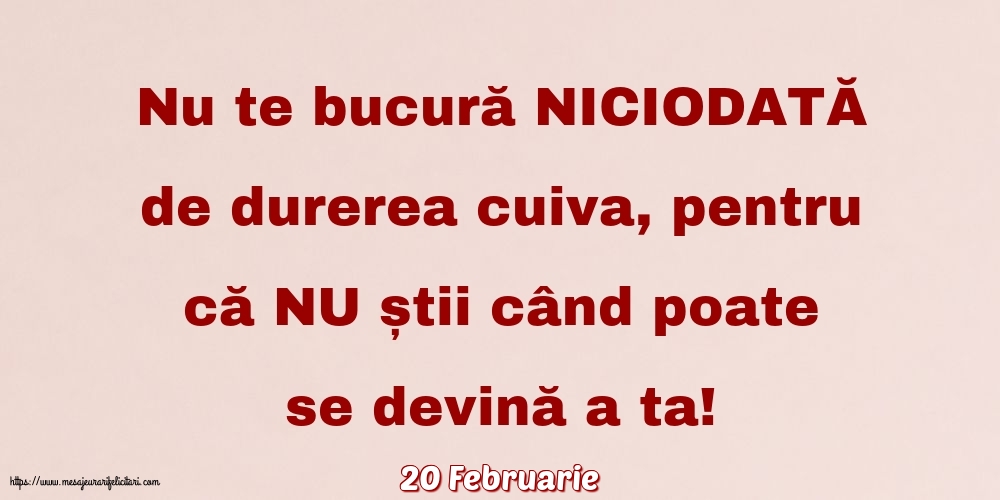 Felicitari de 20 Februarie - 20 Februarie - Nu te bucură