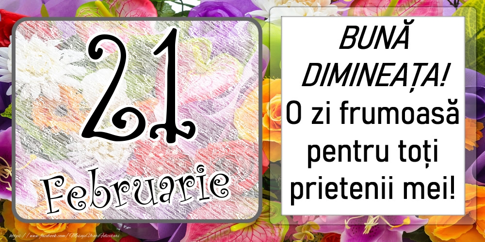 21 Februarie - BUNĂ DIMINEAȚA! O zi frumoasă pentru toți prietenii mei!