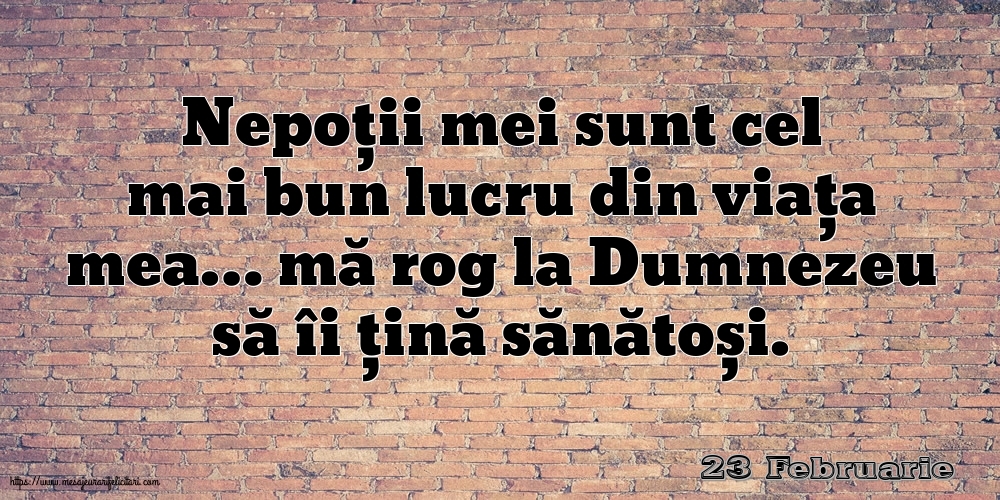 Felicitari de 23 Februarie - 23 Februarie - Nepoții mei sunt cel mai bun lucru din viața mea…