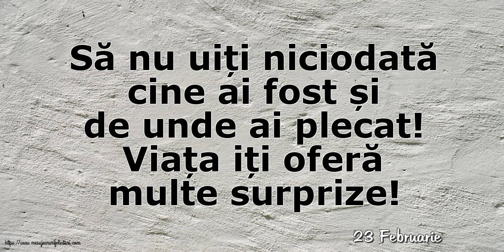 Felicitari de 23 Februarie - 23 Februarie - Viața iți oferă multe surprize!