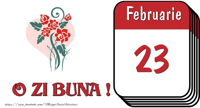 Februarie 23 O zi buna