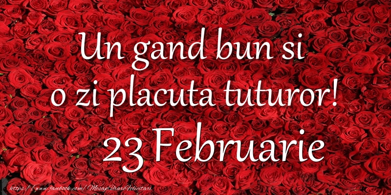 Felicitari de 23 Februarie - Un gand bun si  o zi placuta tuturor! Februarie 23