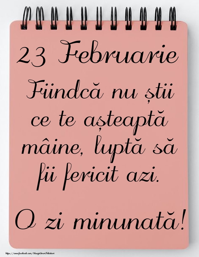 Felicitari de 23 Februarie - Mesajul zilei -  23 Februarie - O zi minunată!