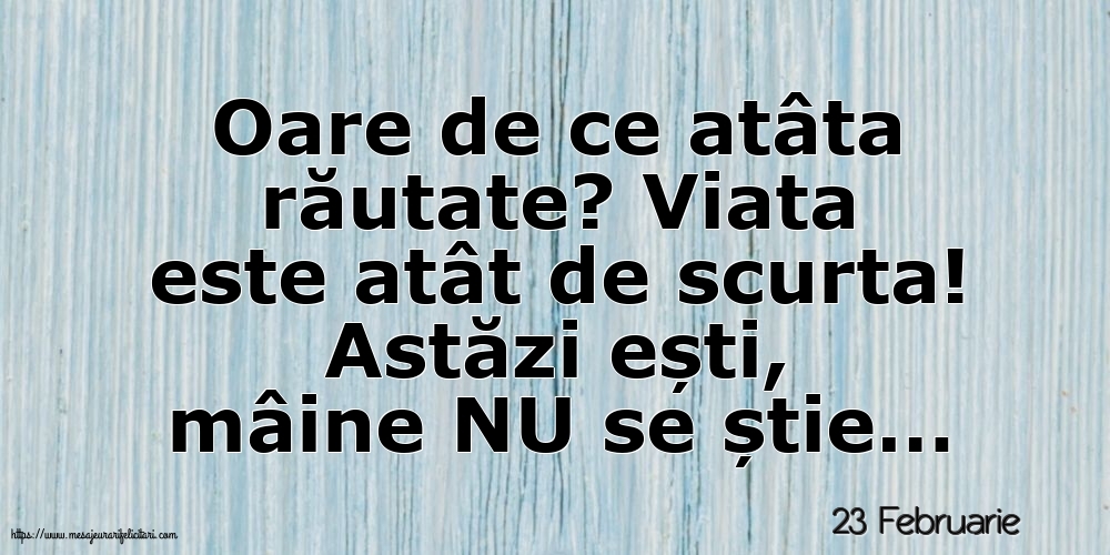 23 Februarie - Oare de ce atâta răutate?