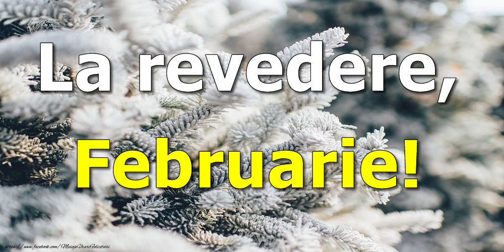 Felicitari de 28 Februarie - La revedere, Februarie!