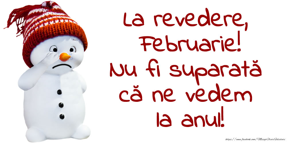 Felicitari de 28 Februarie - La revedere, Februarie! Nu fi suparată că ne vedem la anul!