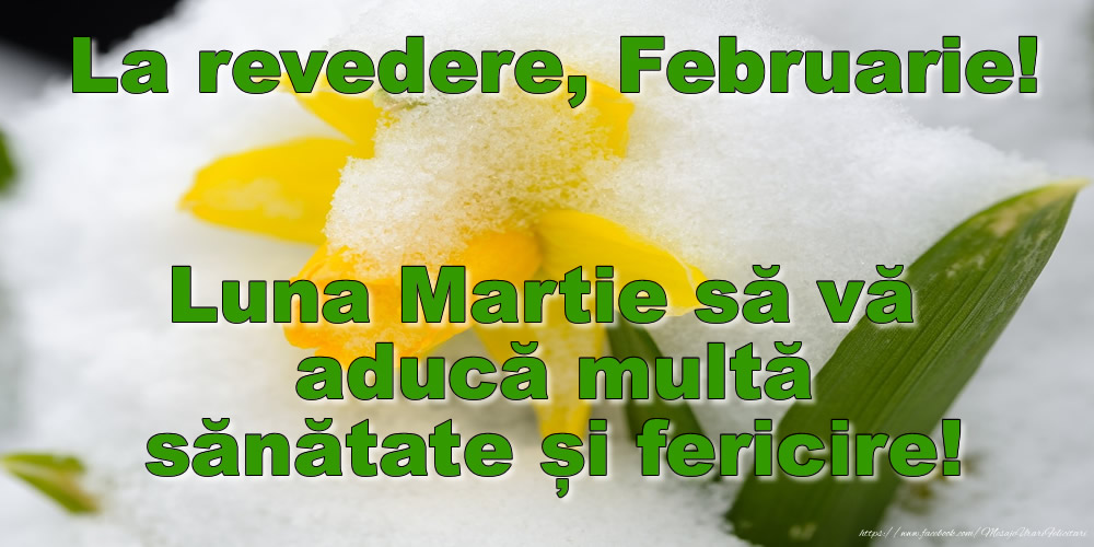 Felicitari de 28 Februarie - La revedere, Februarie! Luna Martie să vă aducă multă sănătate și fericire!