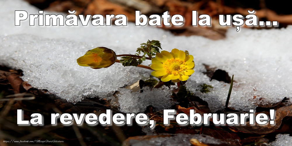 Felicitari de 28 Februarie - Primăvara bate la ușă... La revedere, Februarie!