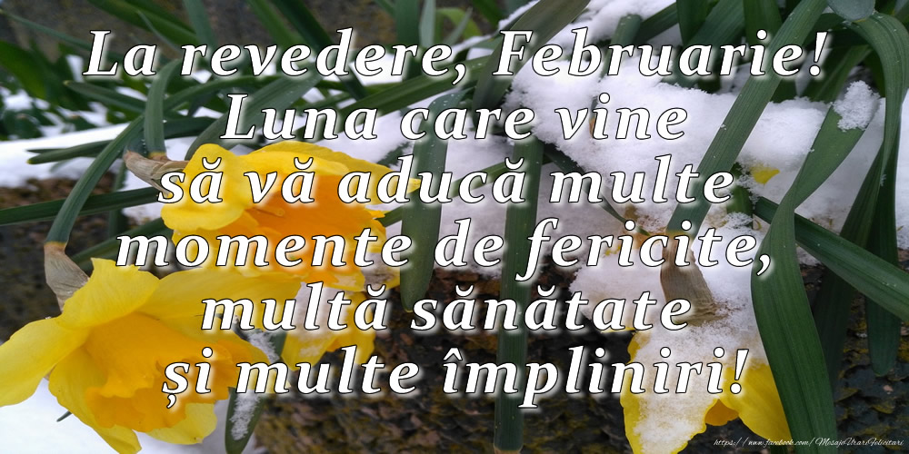 Felicitari de 28 Februarie - La revedere, Februarie! Luna care vine să vă aducă multe momente de fericite, multa sănătate și multe împliniri!