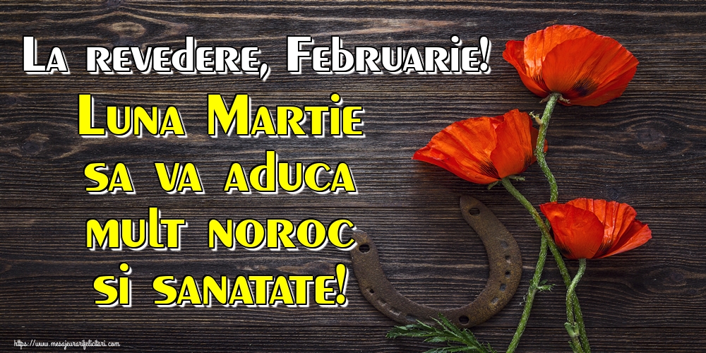 Felicitari de 29 Februarie - La revedere, Februarie! Luna Martie sa va aduca mult noroc si sanatate!