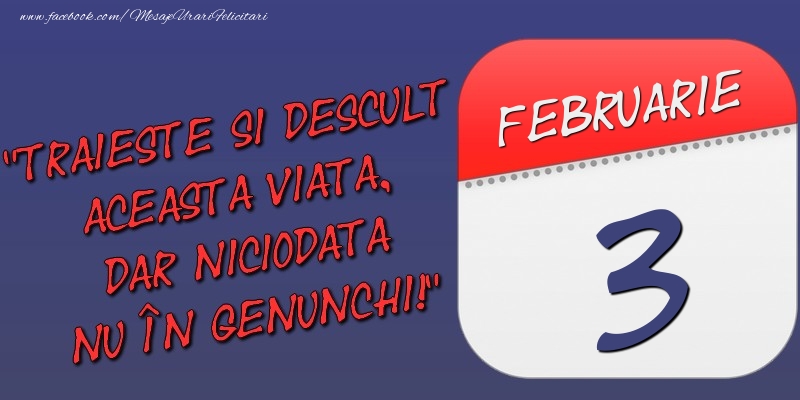 Felicitari de 3 Februarie - Trăieşte şi desculţ această viaţă, dar niciodată nu în genunchi! 3 Februarie