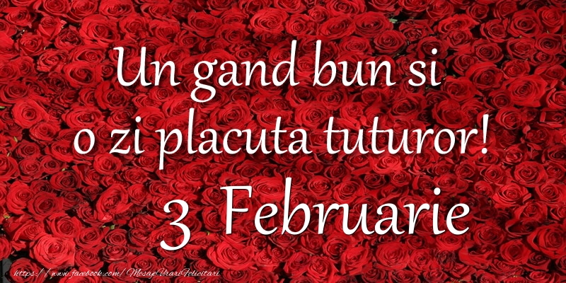 Un gand bun si  o zi placuta tuturor! Februarie 3