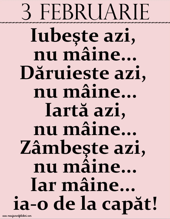 3.Februarie Iubeşte azi, nu mâine. Dăruieste azi, nu mâine. Iartă azi, nu mâine. Zâmbeşte azi, nu mâine. Iar mâine...ia-o de la capăt!